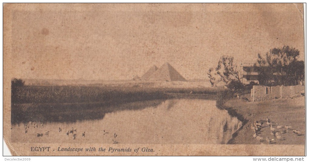 P3259 Egypt Landscape With The Pyramids Of Giza    Front/back Image - Gizeh