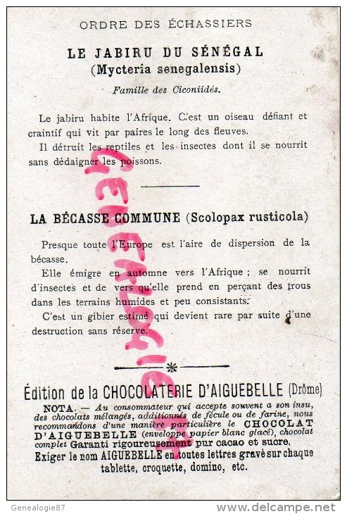 CHROMO - CHOCOLAT  AIGUEBELLE - ORDRE DES ECHASSIERS- OISEAU- JABIRU DU SENEGAL- BACASSE COMMUNE - Aiguebelle