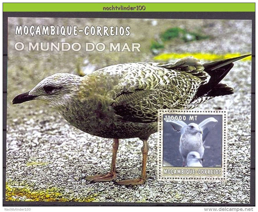 Myw008 FAUNA STORMVOGELS BIRDS VÖGEL AVES OISEAUX MOZAMBIQUE MOCAMBIQUE 2002 PF/MNH - Albatrosse & Sturmvögel