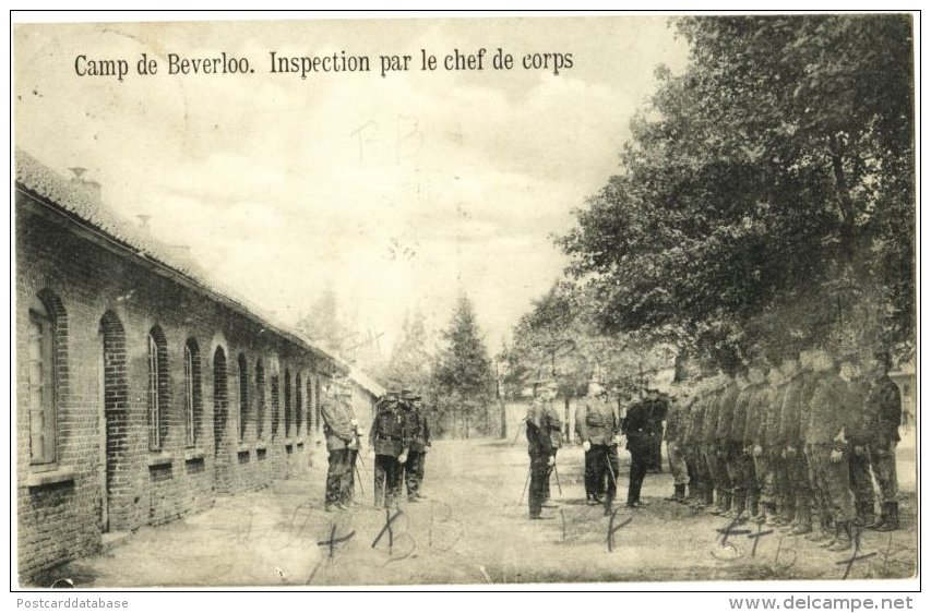 Camp De Beverloo - Inspection Par Le Chef De Corps - & Military - Leopoldsburg