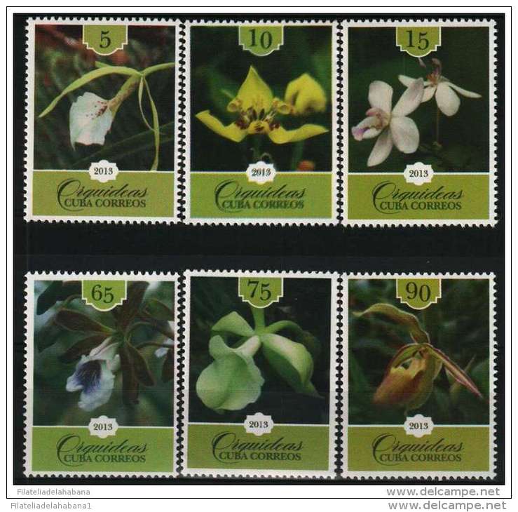 2013.19 CUBA 2013 MNH ORQUIDEAS. ORCHILD FLOWER FLORES - Unused Stamps