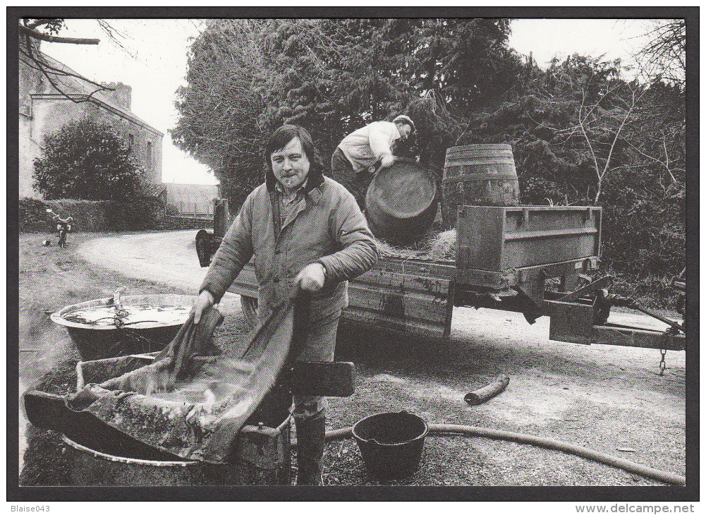 CPM 56 - LA TRINITE-LANGONNET - Rolland BOUEXEL - L'Aventure Carto - M. Jézéquel, Bouilleur De Cru - 1991 - Autres & Non Classés