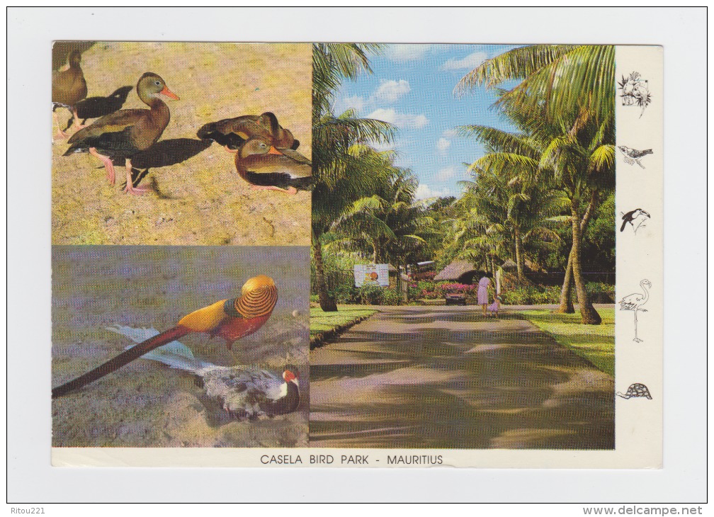 MAURITIUS - Ile Maurice - CASELA BIRD PARK - Grue Vautour Ara Cygne Muet Martin Tortue - Turtles