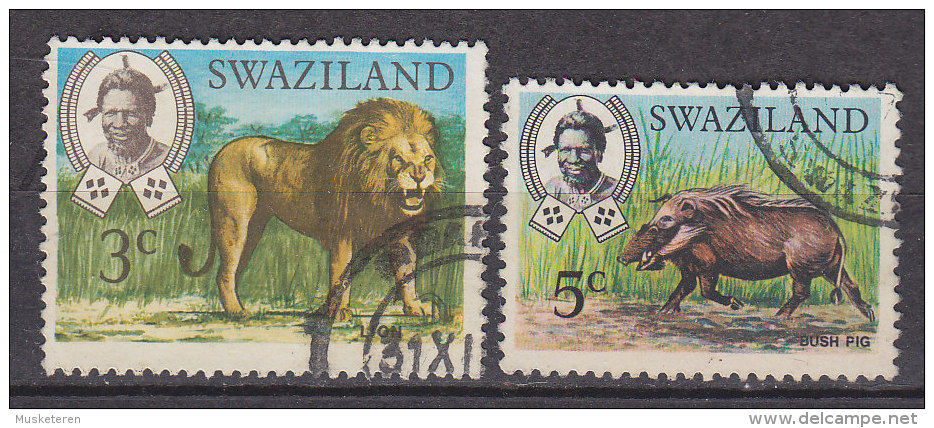 Swaziland 1969 Mi. 163 Y, 165 Löwe Lion Bush Pig Pinselohrschwein - Swaziland (1968-...)