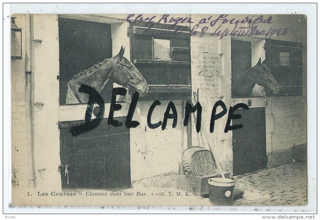 CPA - Les Courses - Chevaux Dans Leur Box - Chevaux