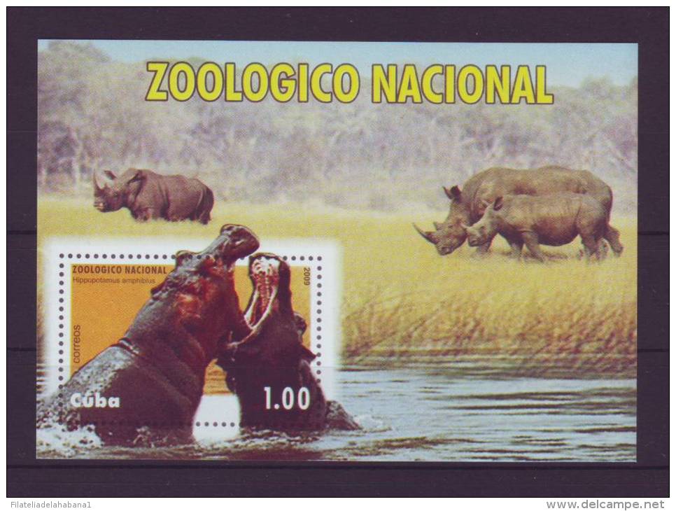 2009.52 CUBA 2009 COMPLETE SET MNH ZOO LION MONKEY MANDRIL URO RINOCERONTE LOBO. LEON. RINOCERONTE. AVESTRUZ - Unused Stamps