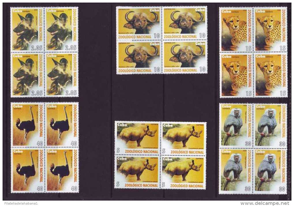 2009.53 CUBA 2009 COMPLETE SET MNH ZOO LION MONKEY MANDRIL URO RINOCERONTE LOBO. LEON. RINOCERONTE. AVESTRUZ. BLOCK 4. - Nuovi