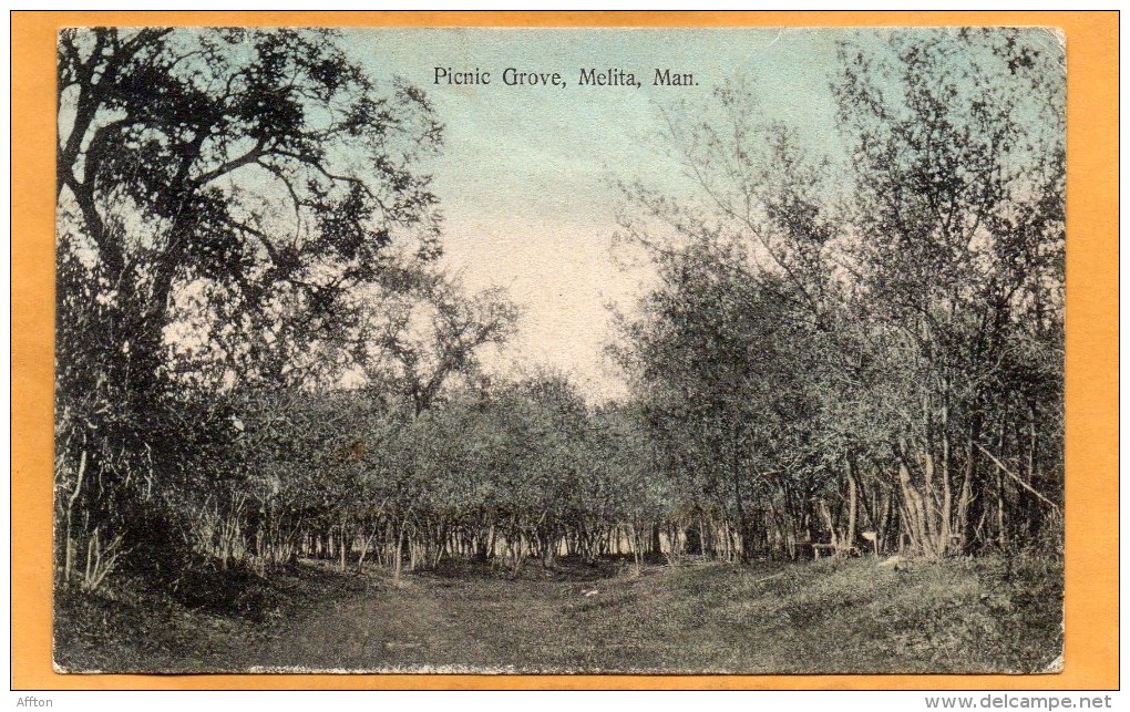 Picnic Grove Melita Man 1908 Postcard Mailed - Other & Unclassified