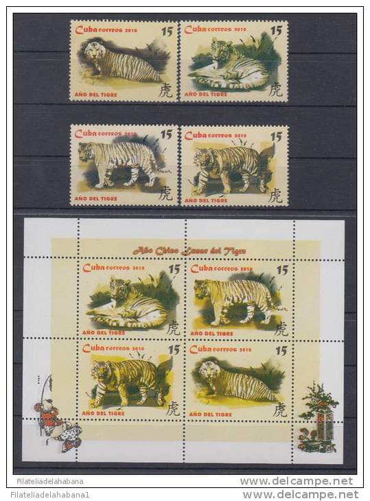 2010.57 CUBA 2010 MNH. AÑO DEL TIGRE. CHINA. SERIE COMPLETA + FORMATO. CHINA MOON YEAR TIGER - Unused Stamps