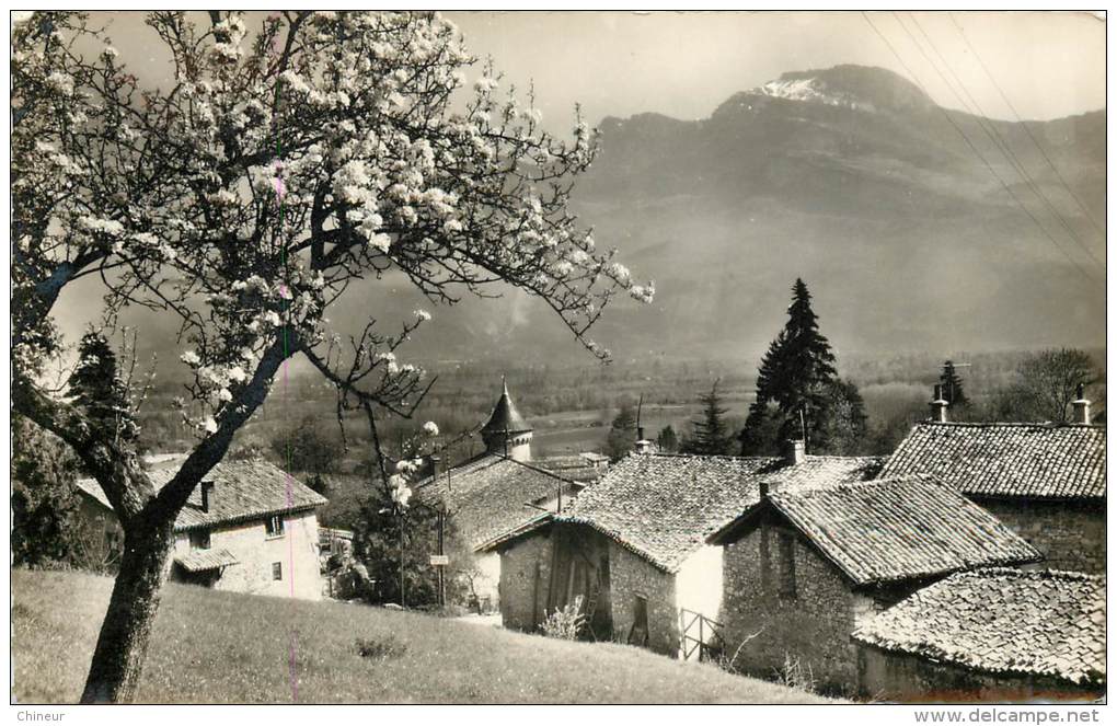 NOYAREY ET LA PYRAMIDE DE LA BUTTE - Other & Unclassified