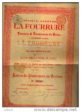 HOFSADE-LEZ-ALOST « SA La Fourrure – Tannerie & Teinturerie De Peaux » (1895) - Action De Jouissance - Textiel