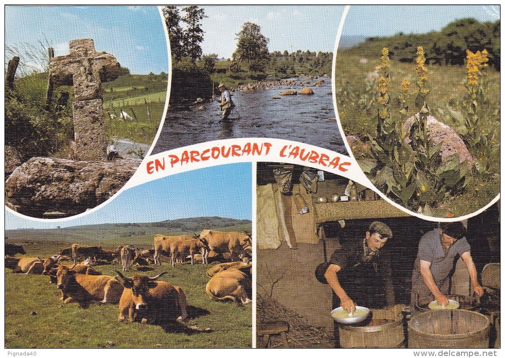 Cp , 48 , En Parcourant Les Monts D'Aubrac - Aumont Aubrac