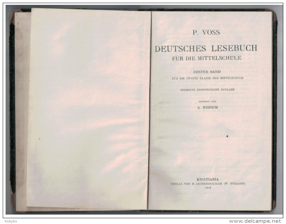 German  Deutsces  Book 1919  Deutsches Lesebuch - Alte Bücher