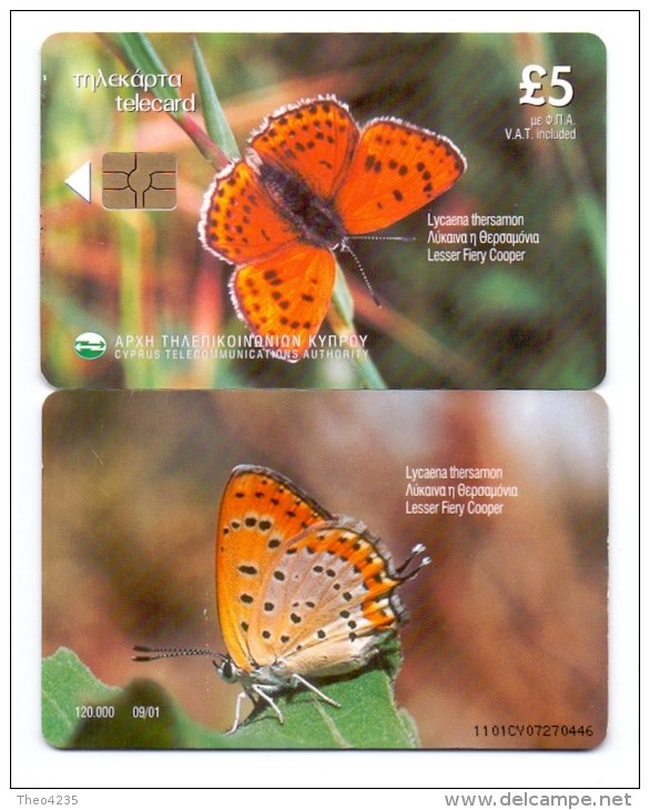 CYPRUS PHONECARD LESSER FIERY COOPER 9/01-120000pcs 1101CY-USED - Papillons