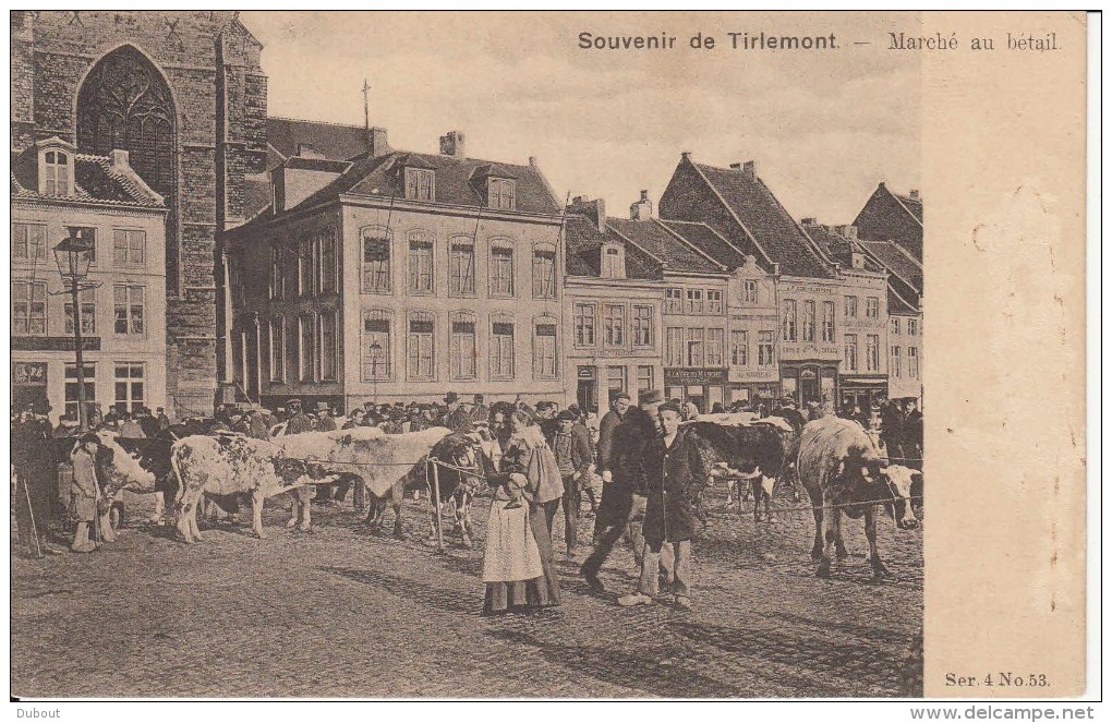 TIENEN / TIRLEMONT :  Dierenmarkt (Z60) - Tienen