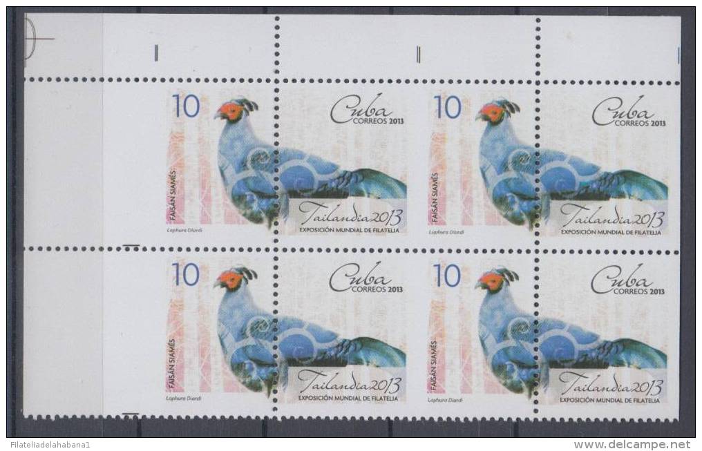 2013.113 CUBA 2013 MNH BLOQUE DE 4. ERROR PERFORACION. PERFORATION ERROR. FAISAN SIAMES . BIRDS. - Non Dentelés, épreuves & Variétés