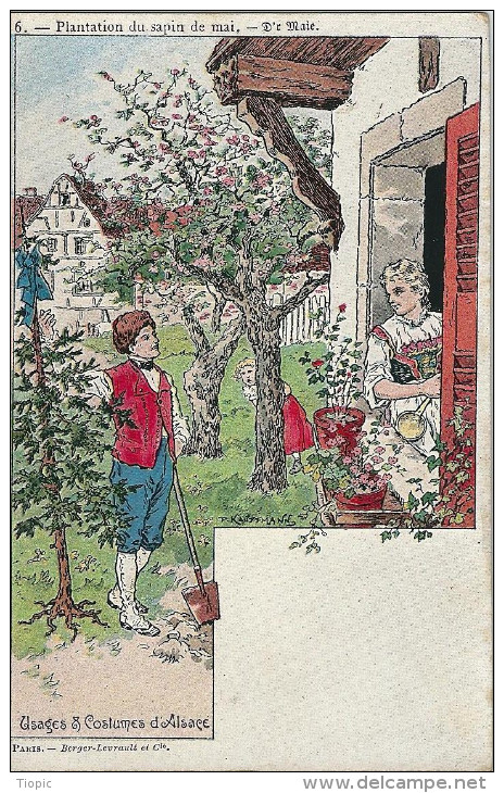 Illustrateur   KAUFFMANN    -  Plantation  Du  Sapin De  Mai  - .  Usages Et  Costumes D´ Alsace. - Kauffmann, Paul