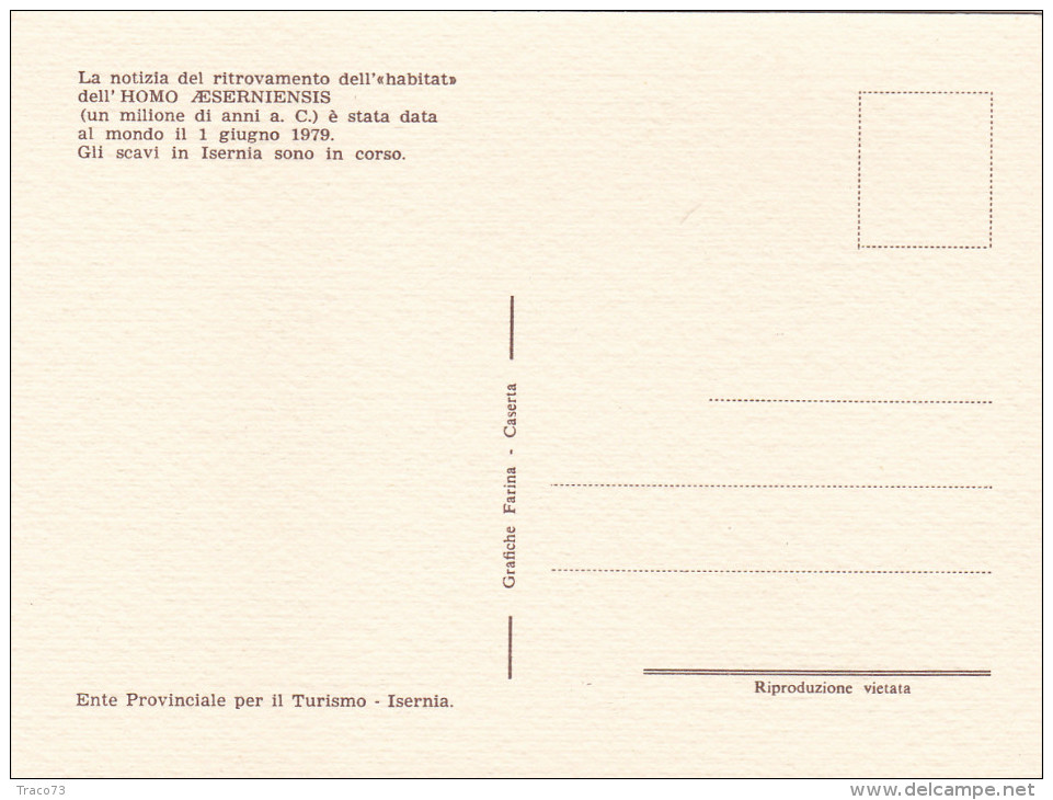 ISERNIA  /  Ente Prov. Per Il Tuismo - Omo Eserniensis _ La Caccia - Isernia