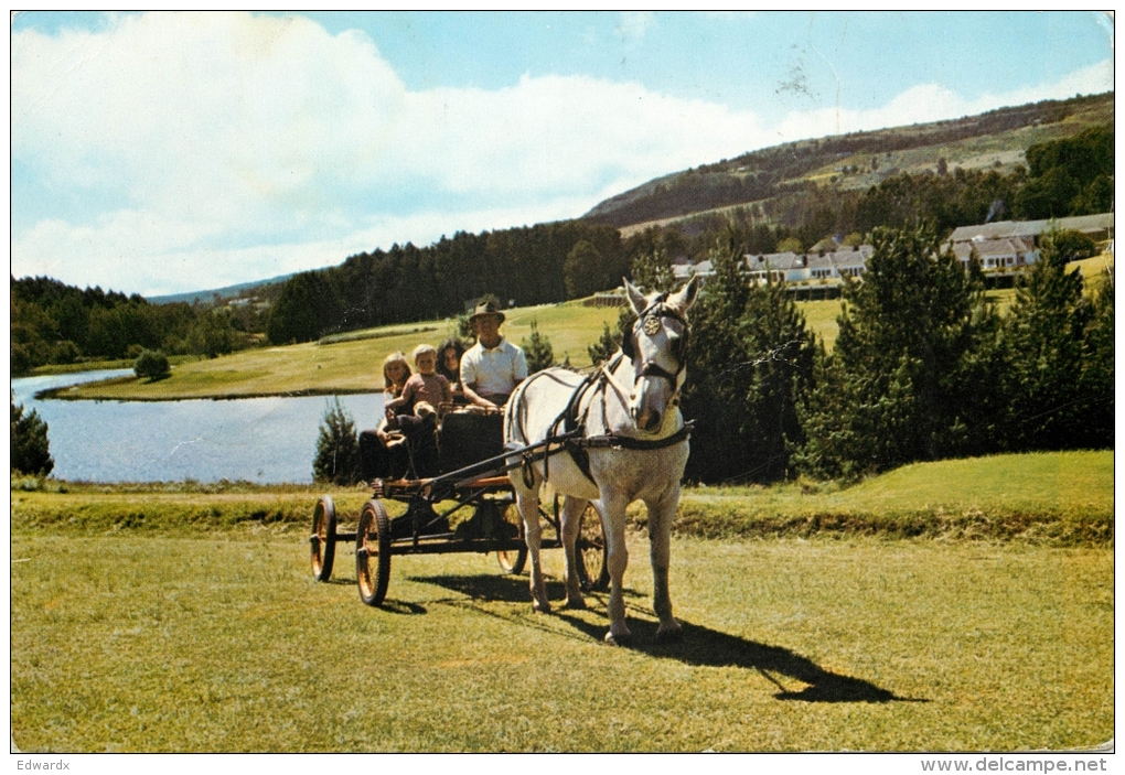 Troutbeck Inn Hotel Motel, Inyanga, Umtali, Zimbabwe Postcard Posted To Botswana 1980 Stamp - Zimbabwe