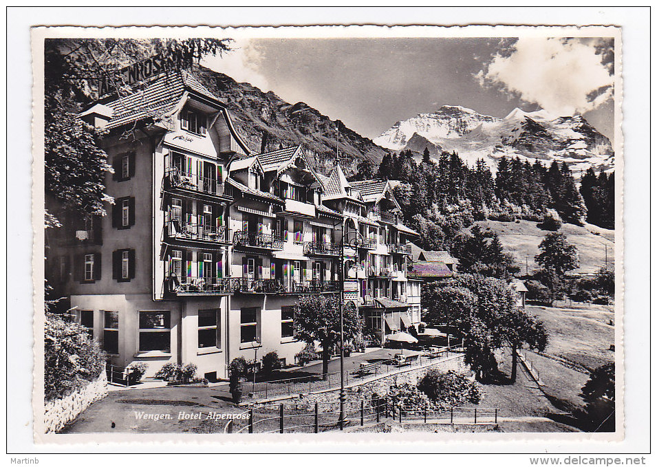 CPSM  SUISSE  WENGEN  Hotel Alpenrose - Wengen