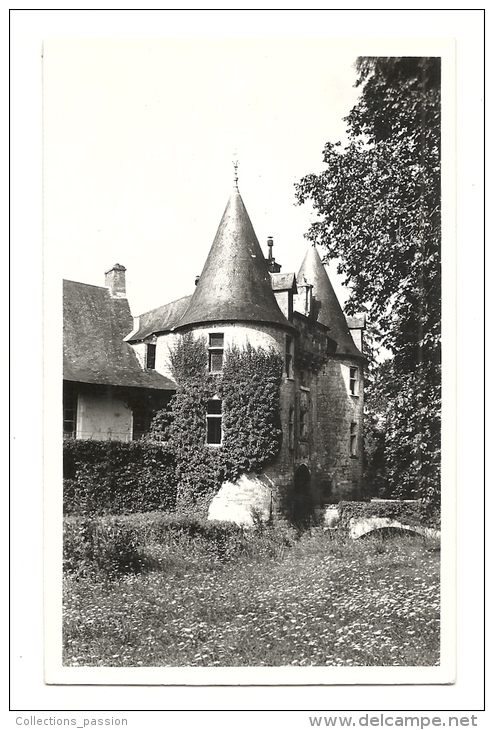 Cp, 86, Vivonne, Château De Sércigny, Les Tours Et L'Entrée - Vivonne