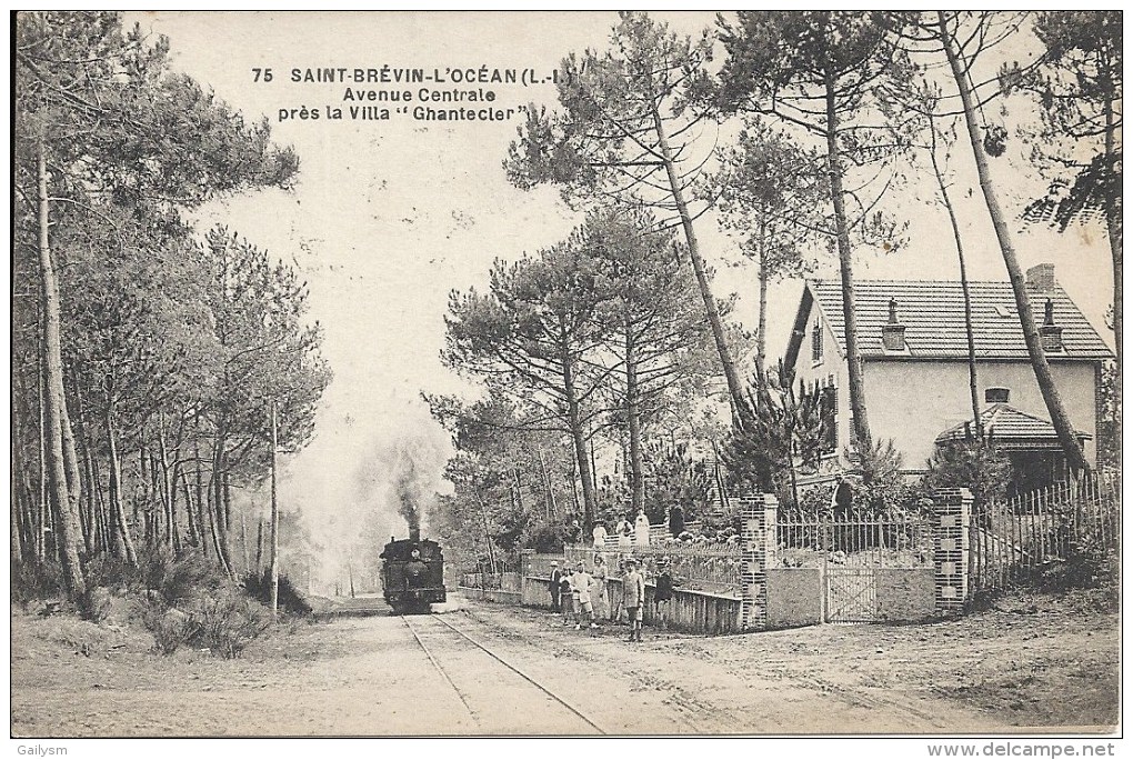 SAINT BREVIN L'OCEAN - AVENUE CENTRALE PRES LA VILLA GHANTECLER - LOCOMOTIVE A VAPEUR - Saint-Brevin-l'Océan