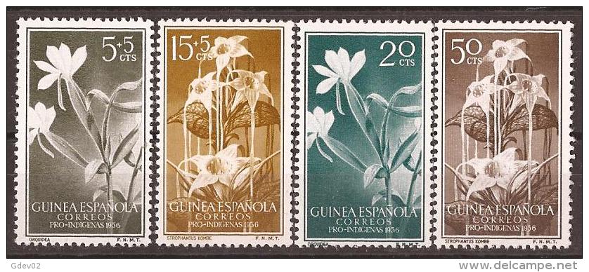 GUI358SCSF-L4159PC-TVEGTOTROS.Guinea Guinee GUINEA ESPAÑOLA  PRO INDIGENAS.FLORA.1956.( Ed 358/61**) Sin Charnela LUJO - Otros & Sin Clasificación