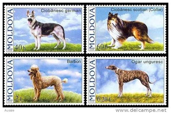 Moldova Moldavie 2006  Yvertn° 489-92 ***  MNH Cote 12,00 Euro Faune Honden Chiens Dogs - Moldavie