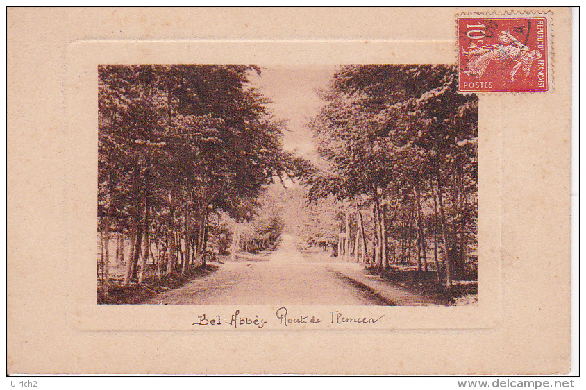 CPA Bel-Abbes - Route De Tlemcen - 1909 (2094) - Sonstige & Ohne Zuordnung