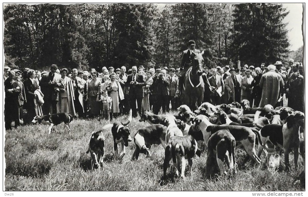 Forêt De Tronçais - Chasse à Courre - La Meute - Edition Du Lys - Carte Non Circulée - Chasse