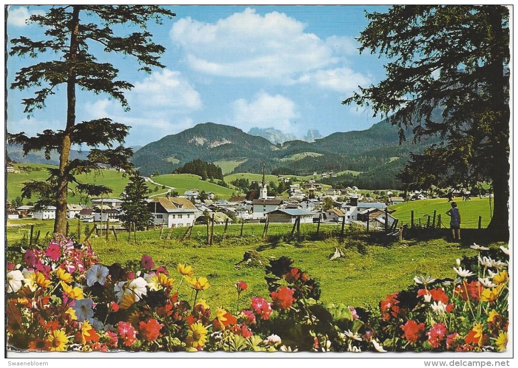 AT.- Abtenau. Mit Bischofsmütze. Panorama. Oostenrijk. Österreich. - Abtenau