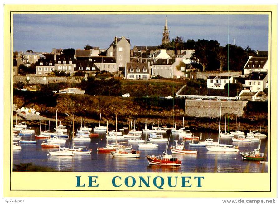 Belle CPM   -  Le Conquet. Un Coin Du Port. D 1311 - Le Conquet