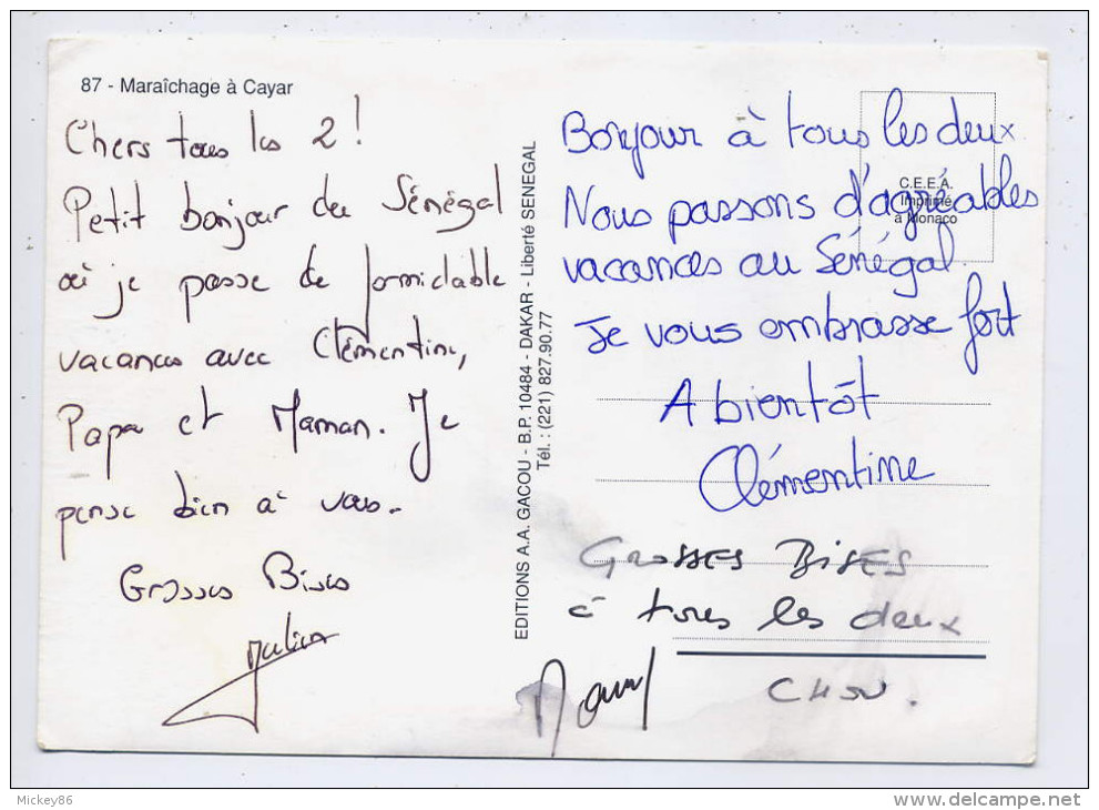 Sénégal--CAYAR--Maraichage à Cayar (animée) ,cpm  éd A.A.Gacou - Sénégal