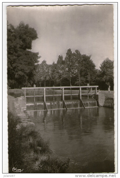 CPA      45      LA FERTE SAINT AUBIN      LE DEVERSOIR    BORDS DU COSSON - La Ferte Saint Aubin