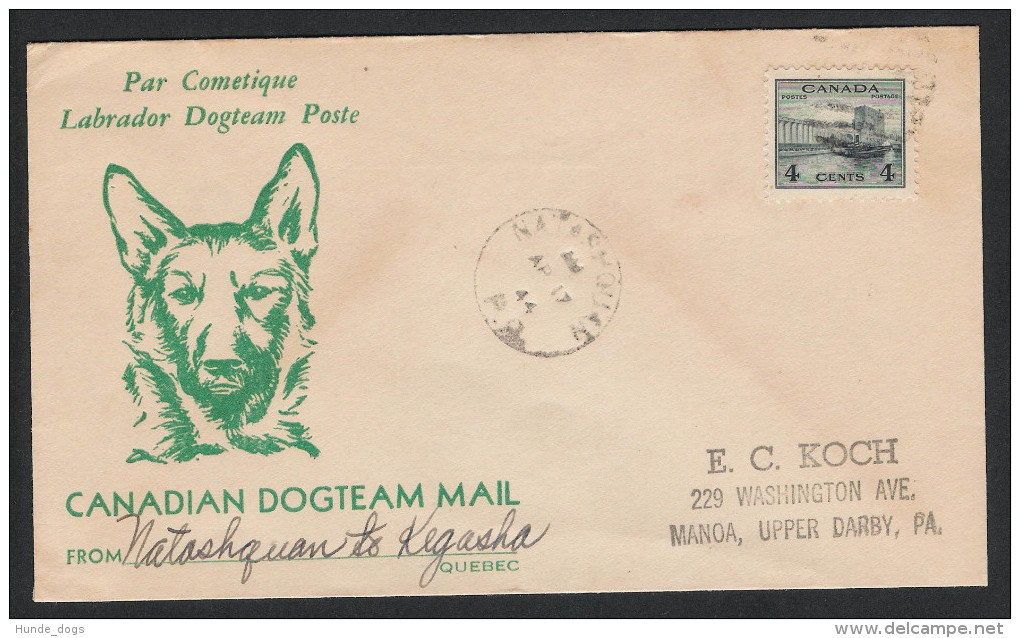 Canadian Dog Team Mail 1944 Hund Chien Cover Kanada Labrador Dogteam Poste (2 - Honden