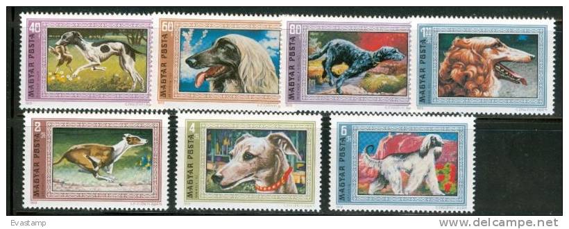 HUNGARY - 1972. Greyhounds - Dogs Cpl.Set MNH! - Nuevos