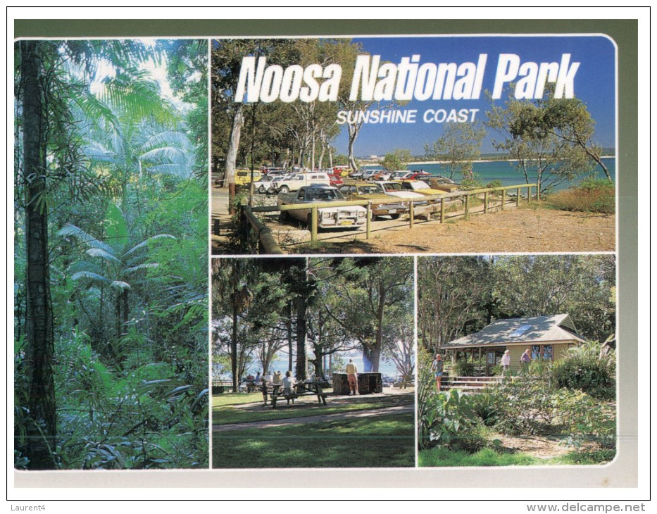 (951) Australia - QLD - Noosa - Sunshine Coast