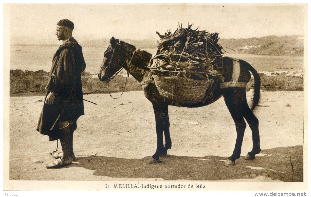 Melilla - Indigena Portador De Lena - Melilla