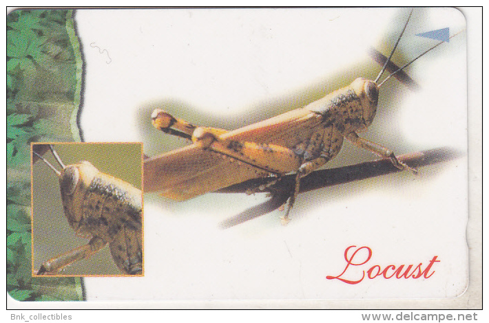Singapore Old Used Phonecard - Locust - Otros & Sin Clasificación