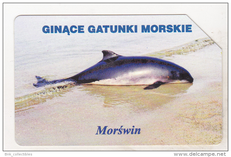 Poland Old Used Phonecard - Dolphin - Delfines