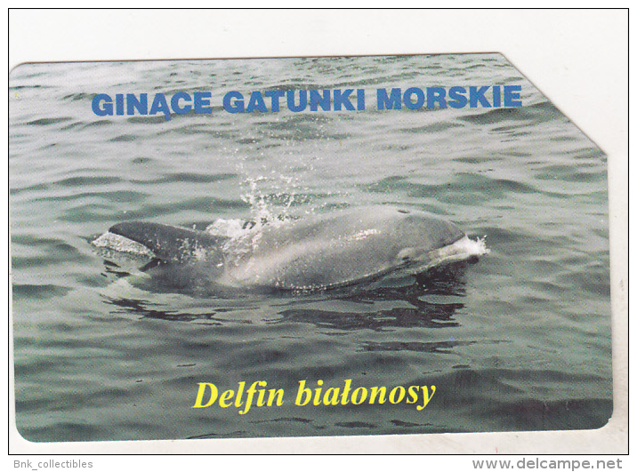 Poland Old Used Phonecard - Dolphin - Delfines