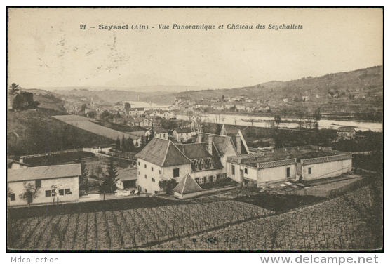 01 SEYSSEL / Vue Panoramique Et Château Des Seychallets / - Seyssel