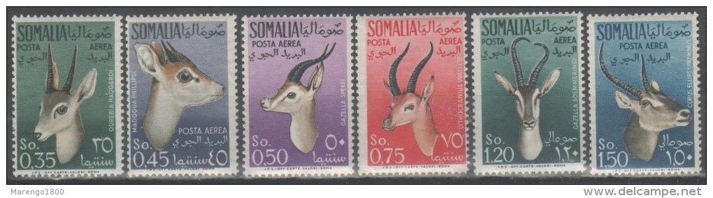 Somalia AFIS 1955 - Animali P.a. **    (g4594) - Somalia (AFIS)