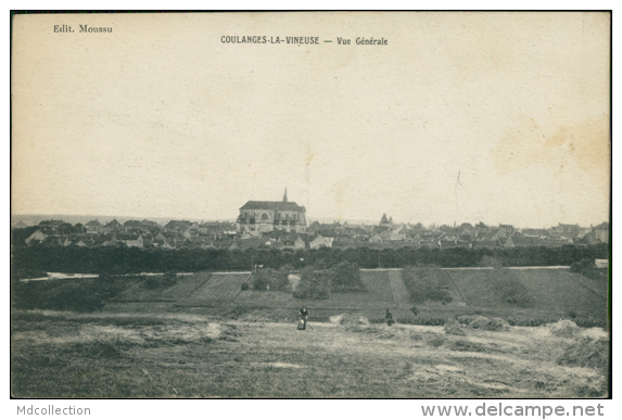 89 COULANGES LA VINEUSE / Vue Générale / - Coulanges La Vineuse