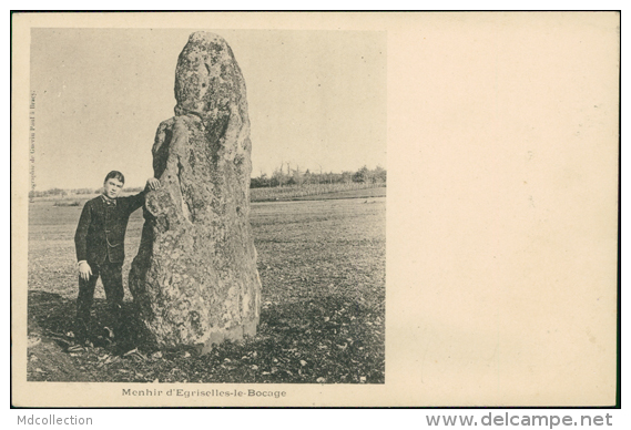 89 EGRISELLES LE BOCAGE / Menhir D'Egriselles-le-Bocage / - Egriselles Le Bocage