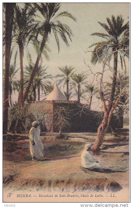 CPA  Biskra - Marabout De Sidi-Brahim, Oasis De Laila (2115) - Biskra