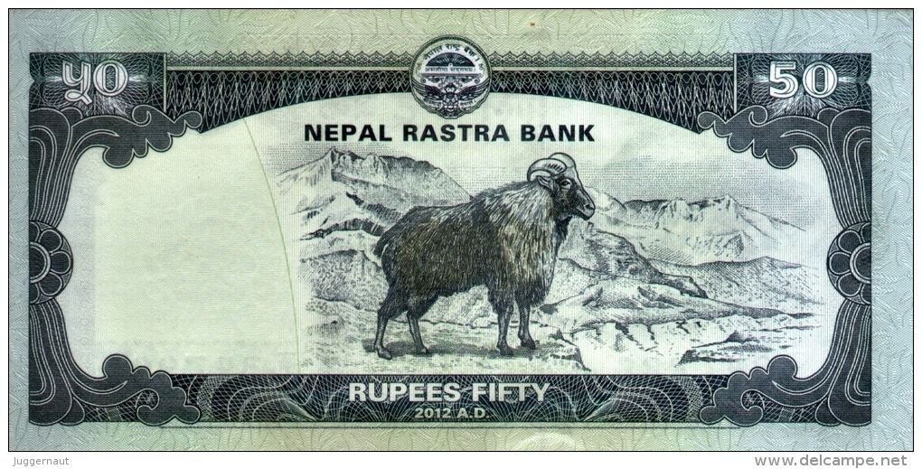 NEPAL 50 RUPEE  BANKNOTE 2013 MINT UNCIRCULATED - Nepal