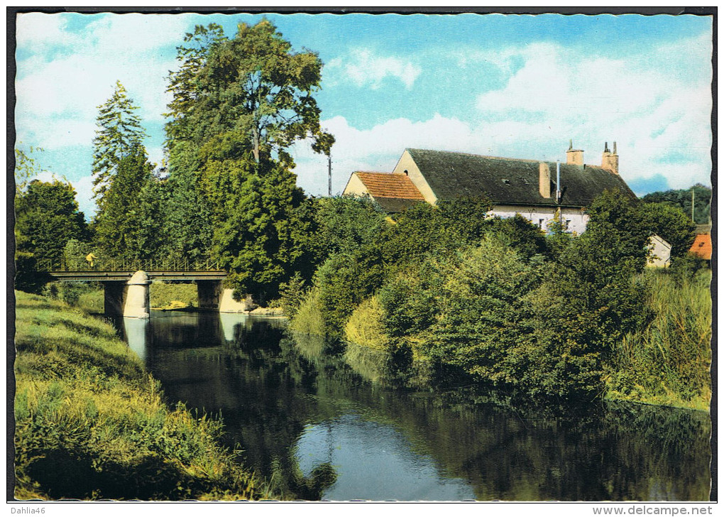 Cpsm 37_REUGNY - La Brenne Et Le Pont - Dentelée - éd Artaud N° 9 - Reugny