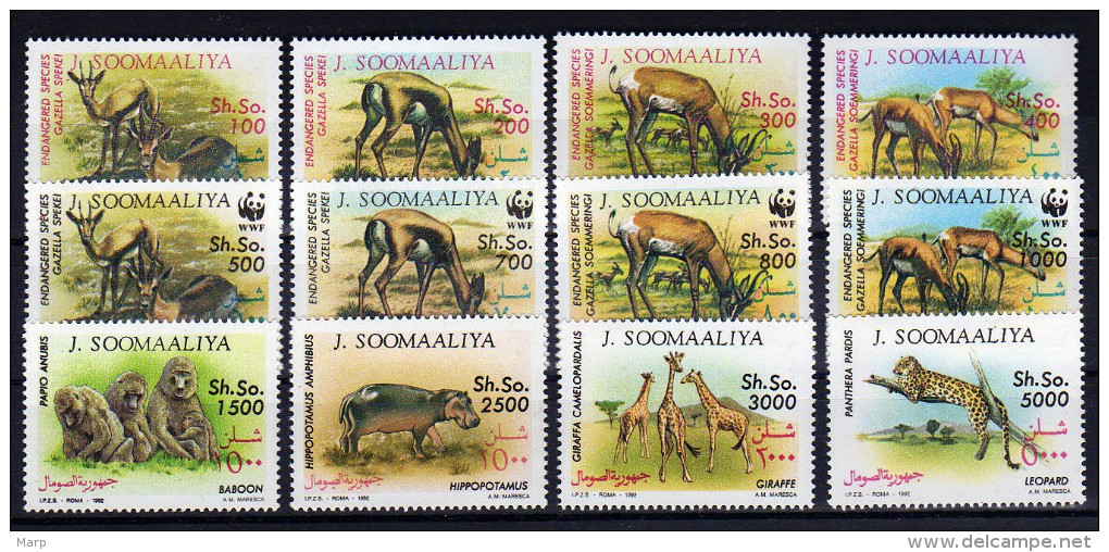 Somalia 1992 Animals WWF Set Complete Mnh.Cat 95€ - Otros & Sin Clasificación
