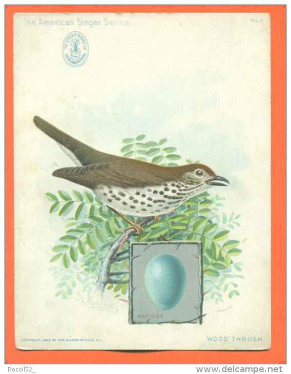 Grand Chromo Singer Series  " Oiseau Wood Thrush - Machine A Coudre Spain "  2 Scans - Otros & Sin Clasificación